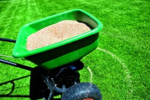 Çim gübreleme